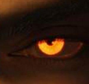 evilaj2010