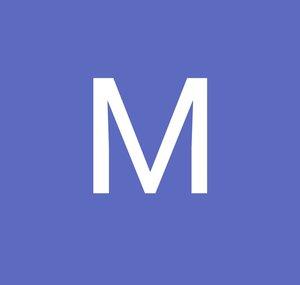 MSInfinityfly