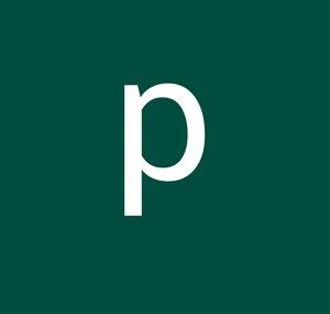 p0n3d1114