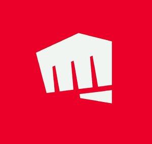 Riot Games Support