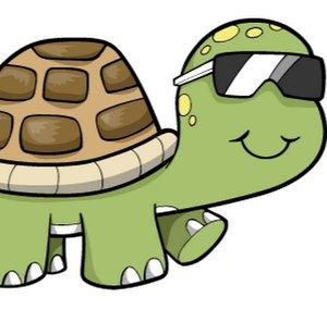 Eager Turtle