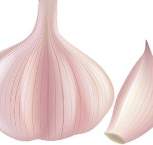Garlic Master