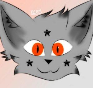 Illicit Foxes