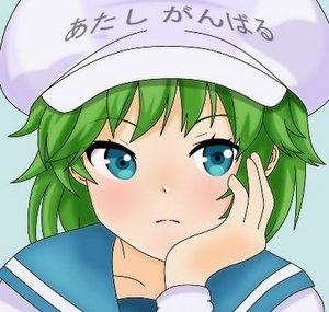 IrisBreeze