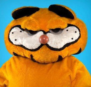 lasagnacat