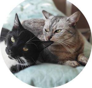 Lucy and Stitch