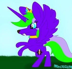 Princess Paw Draw