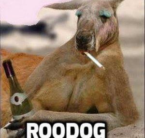 Roodog Gonebush