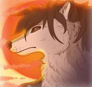 SeanTWolf VA
