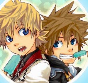 Sora Savior