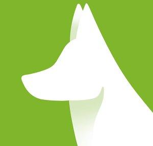 The Travel Fox