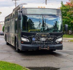 thetransitful
