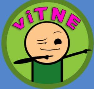 viTNE