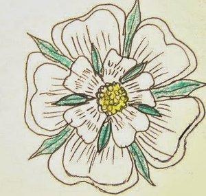 800Whiterose