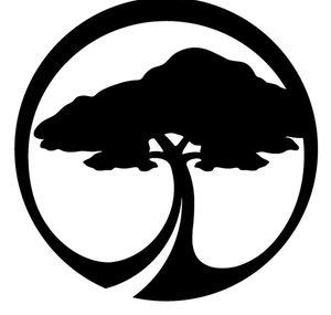 Arbor Collective