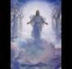 ChristIsAllCol311