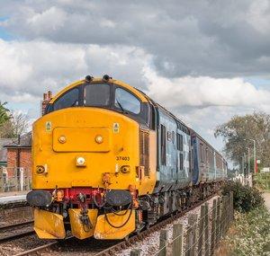 class313