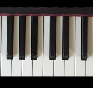 Domino PianoMusic