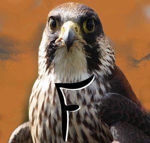 Falconney
