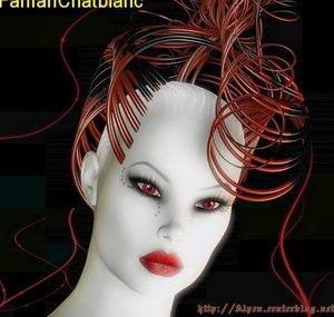 fanfanchatblanc