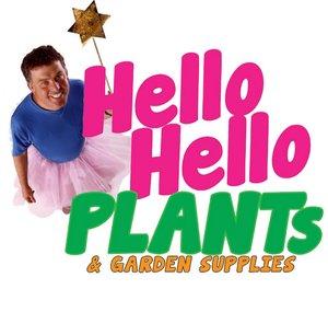 Hello Hello Plants
