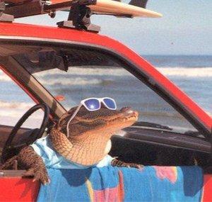 KamiBigLizard