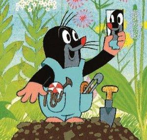 Krtek / The Mole