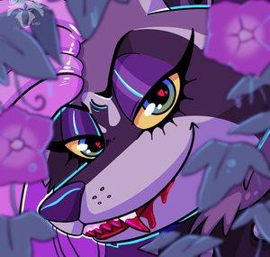 Lou Raccoon