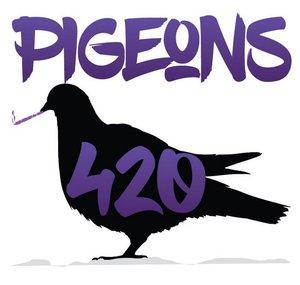 Pigeons 420