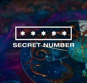 SECRET NUMBER