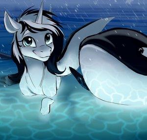 Shouka da Orca Games