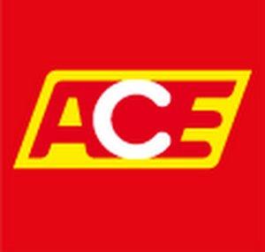 ACE Auto Club Europa