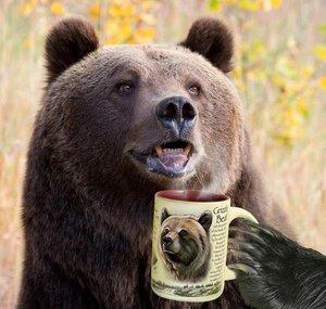 BEAR Naked Gaming