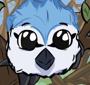 BlueJay T Gaming