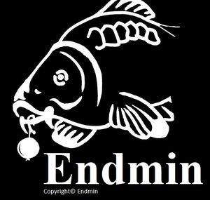 endmin