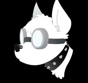 Evdog Music