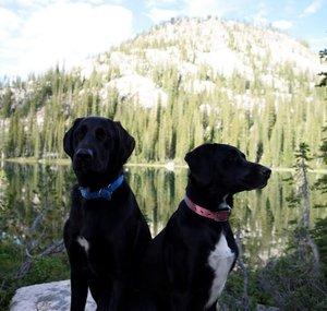 Finneys Outdoor Adventure