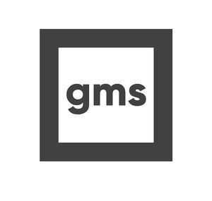GMSVidea
