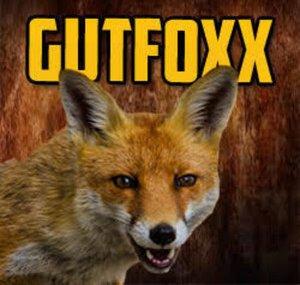 gutfoxx