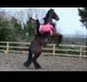 LeaEquestrian