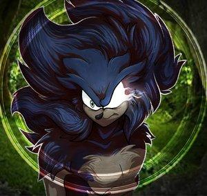 SoniKwolf1498
