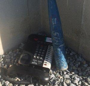 TheOriginalBlueMetalBat