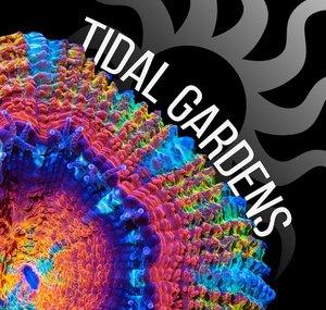 Tidal Gardens