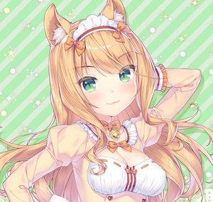 xMaple