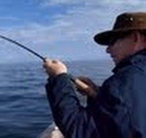 BlackPurpleFish Fisher