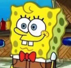 EB The Sponge Reviewer
