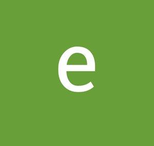 ensastyle