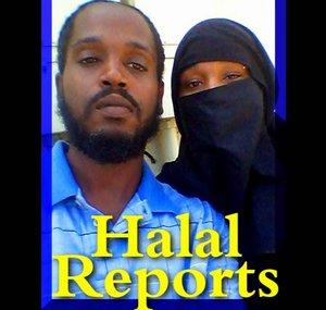 Liberation Reports