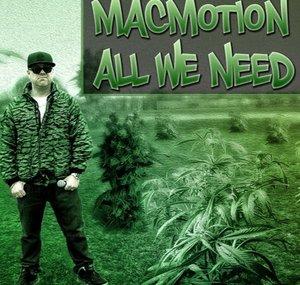 MacMotion