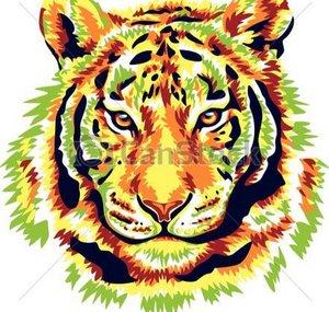 MrNaji